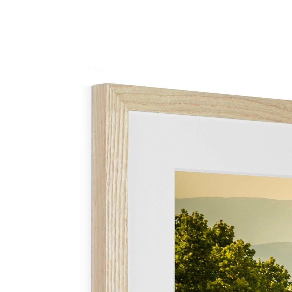 The south façade of Florence Cathedral glimpsed through the trees of San Miniato al Monte.  Italy. Framed & Mounted Print