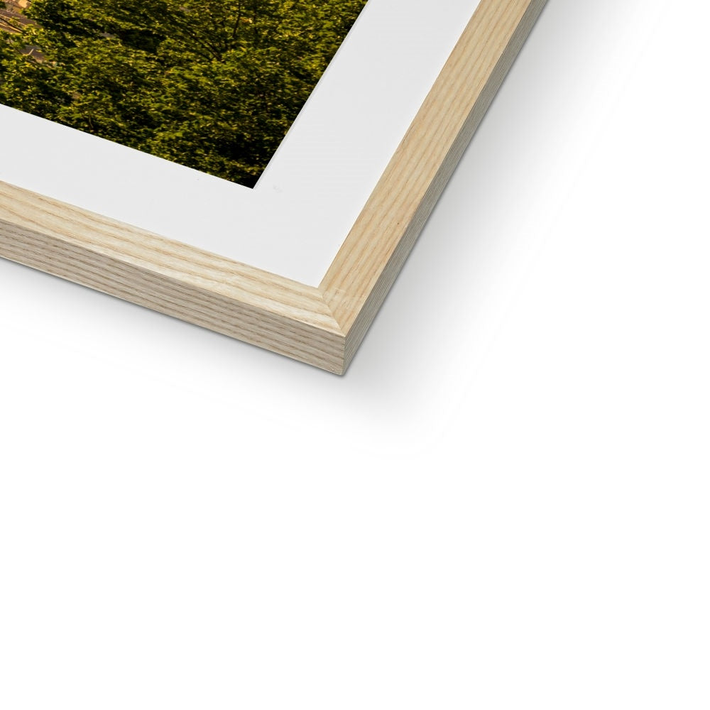 The south façade of Florence Cathedral glimpsed through the trees of San Miniato al Monte.  Italy. Framed & Mounted Print