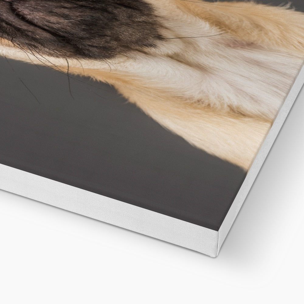 Pug Dog Canvas