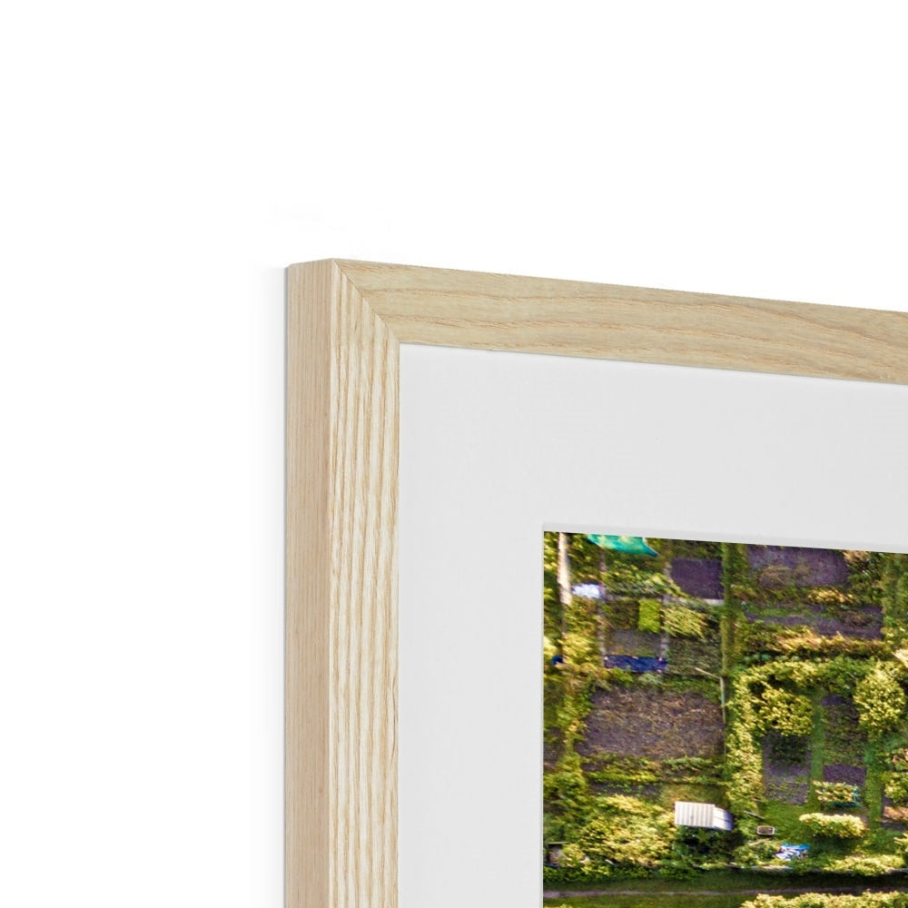 Aerial view of allotments Framed & Mounted Print