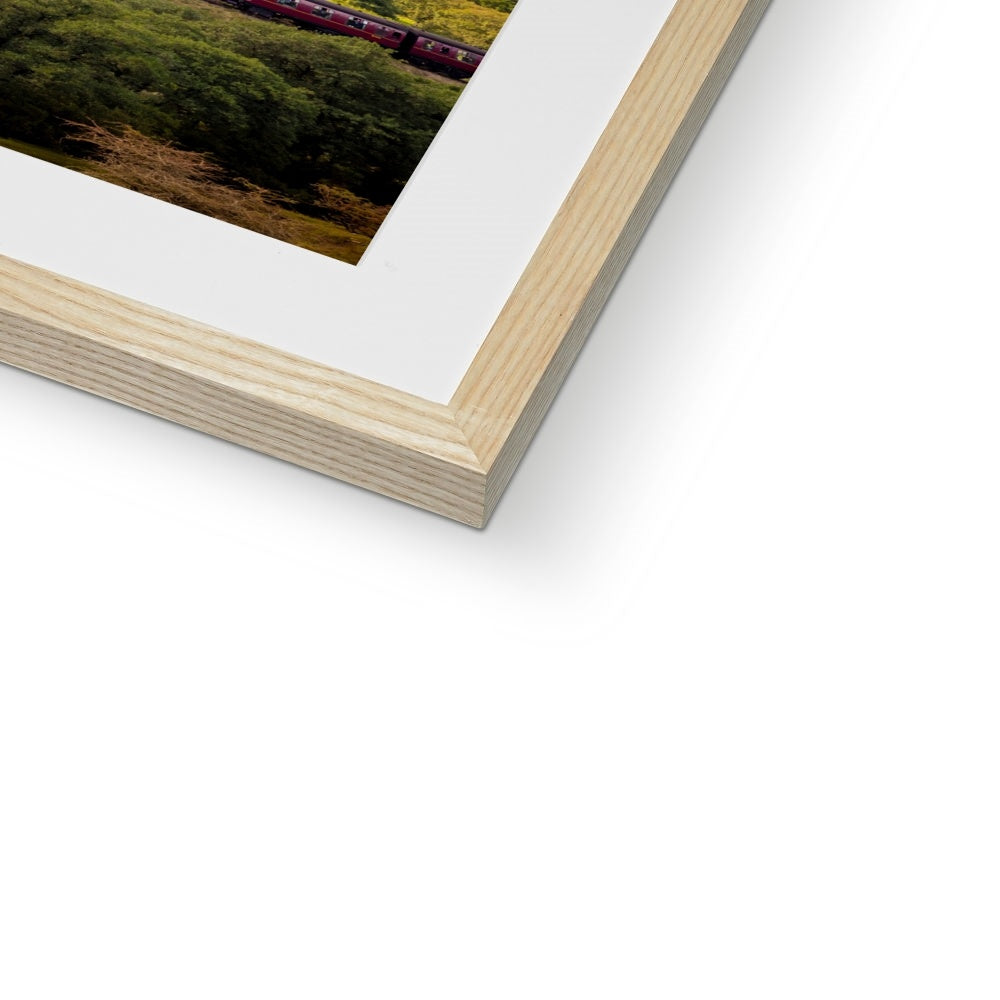 Steam Train: LNER Thompson Class B1 No. 1264  on the North Yorkshire Moors in summer. UK Framed & Mounted Print