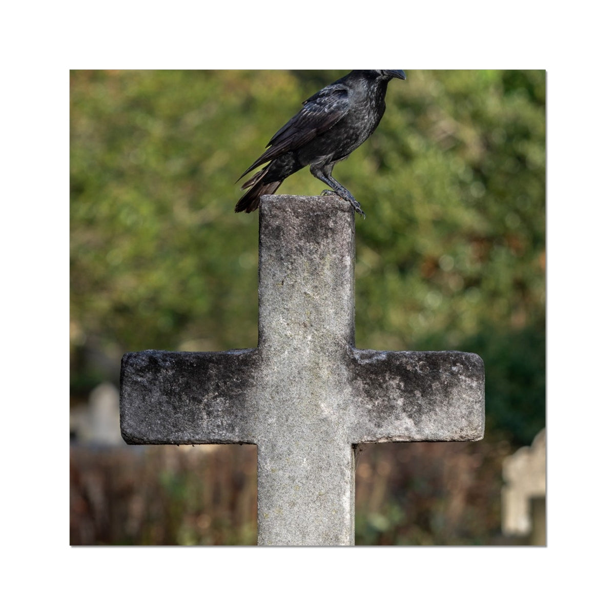 image40