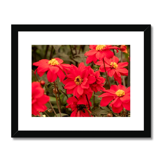 image0