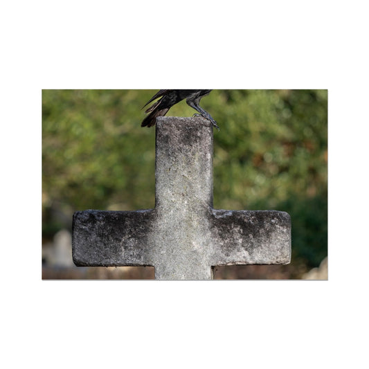 image42