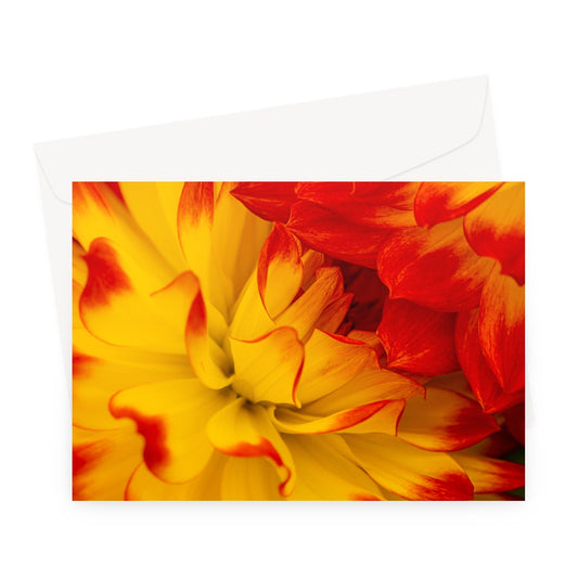 image0