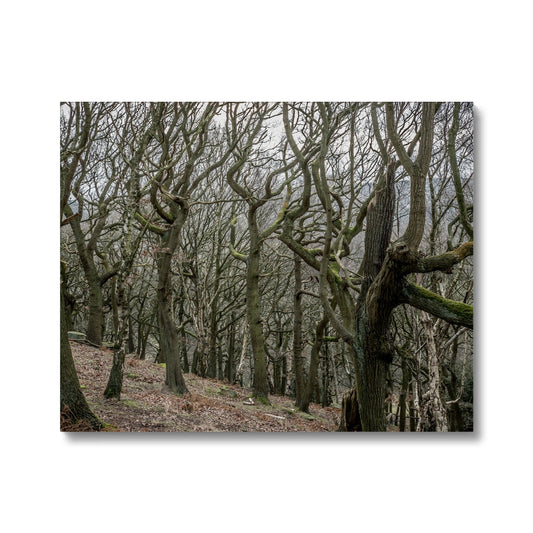 image0