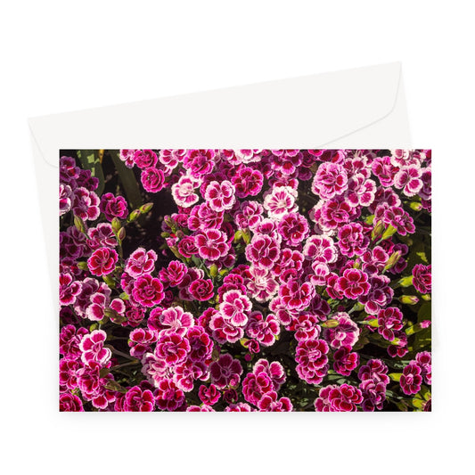 image0
