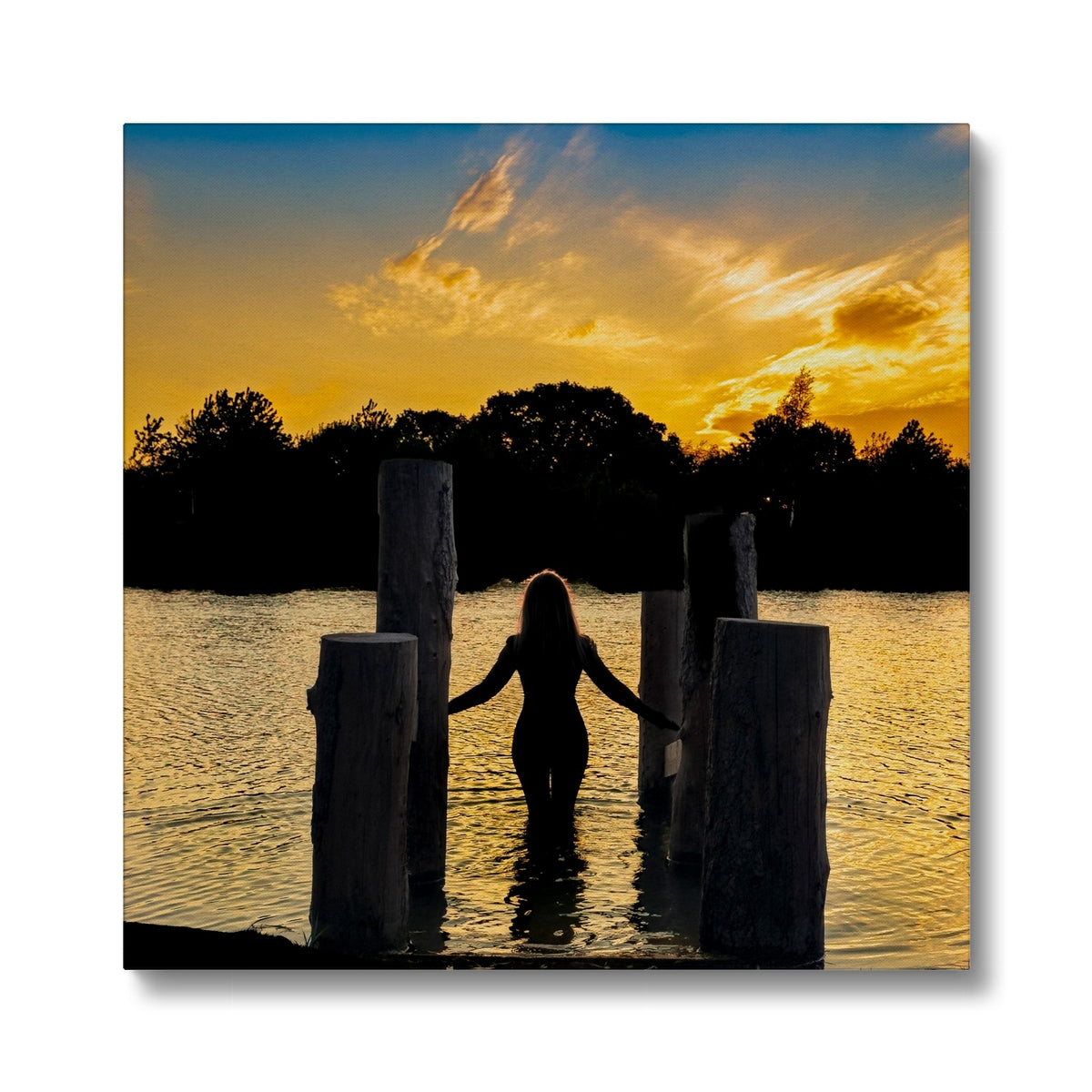 Canvas Prints