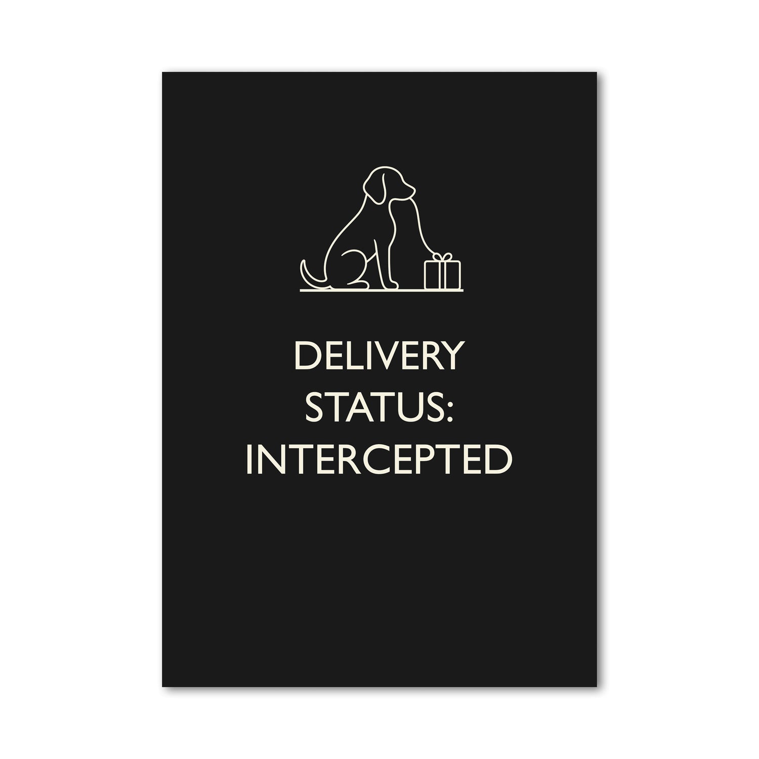 DELIVERY STATUS INTERCEPTED Wall Art Poster