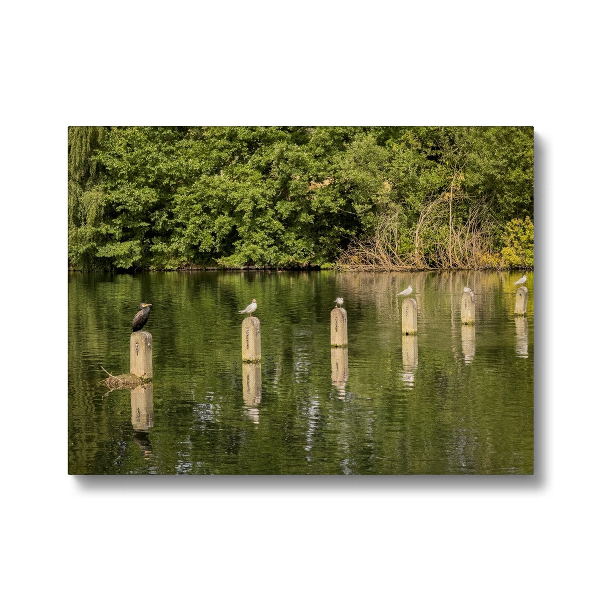 image0