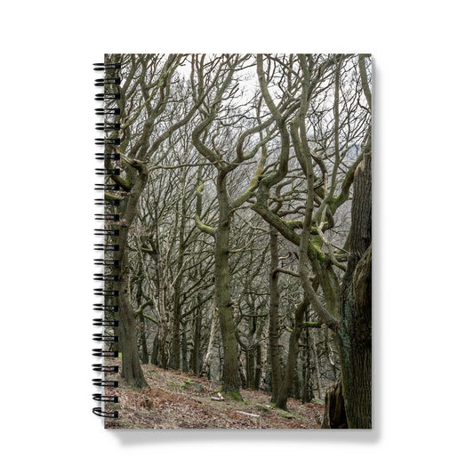image0