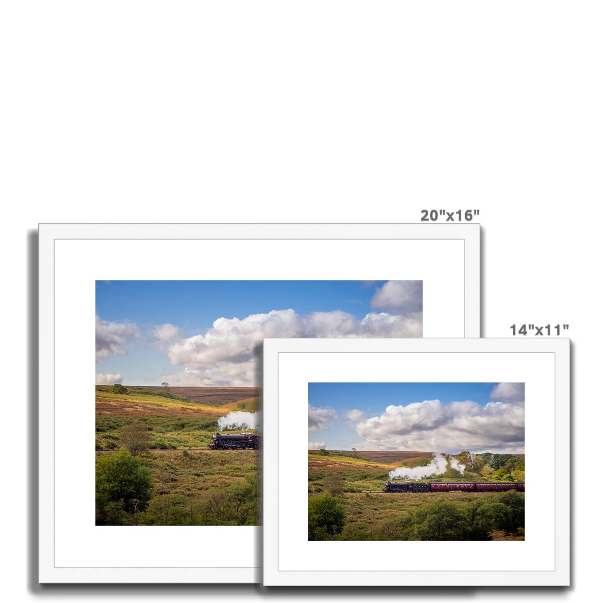 Steam Train: LNER Thompson Class B1 No. 1264  on the North Yorkshire Moors in summer. UK Framed & Mounted Print