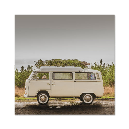 1972 VW Bay Window Campervan parked with with Christmas tree on roof and Cockapoo dog looking out of window. Fine Art Print