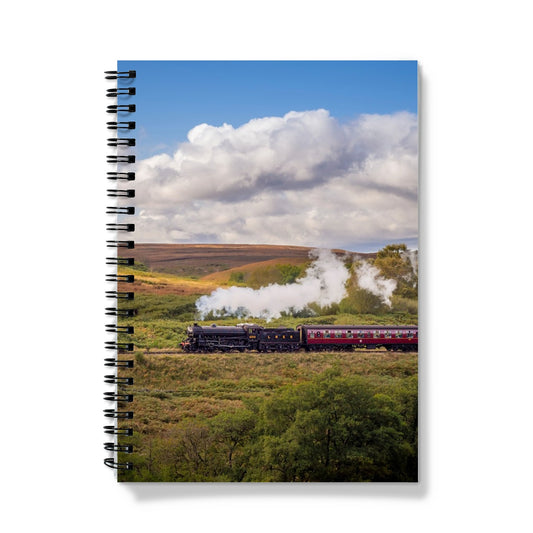 Steam Train: LNER Thompson Class B1 No. 1264  on the North Yorkshire Moors in summer. UK Notebook