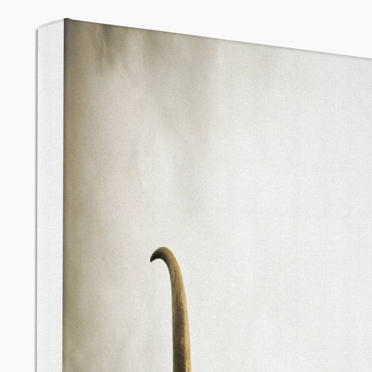 Highland Cow Canvas