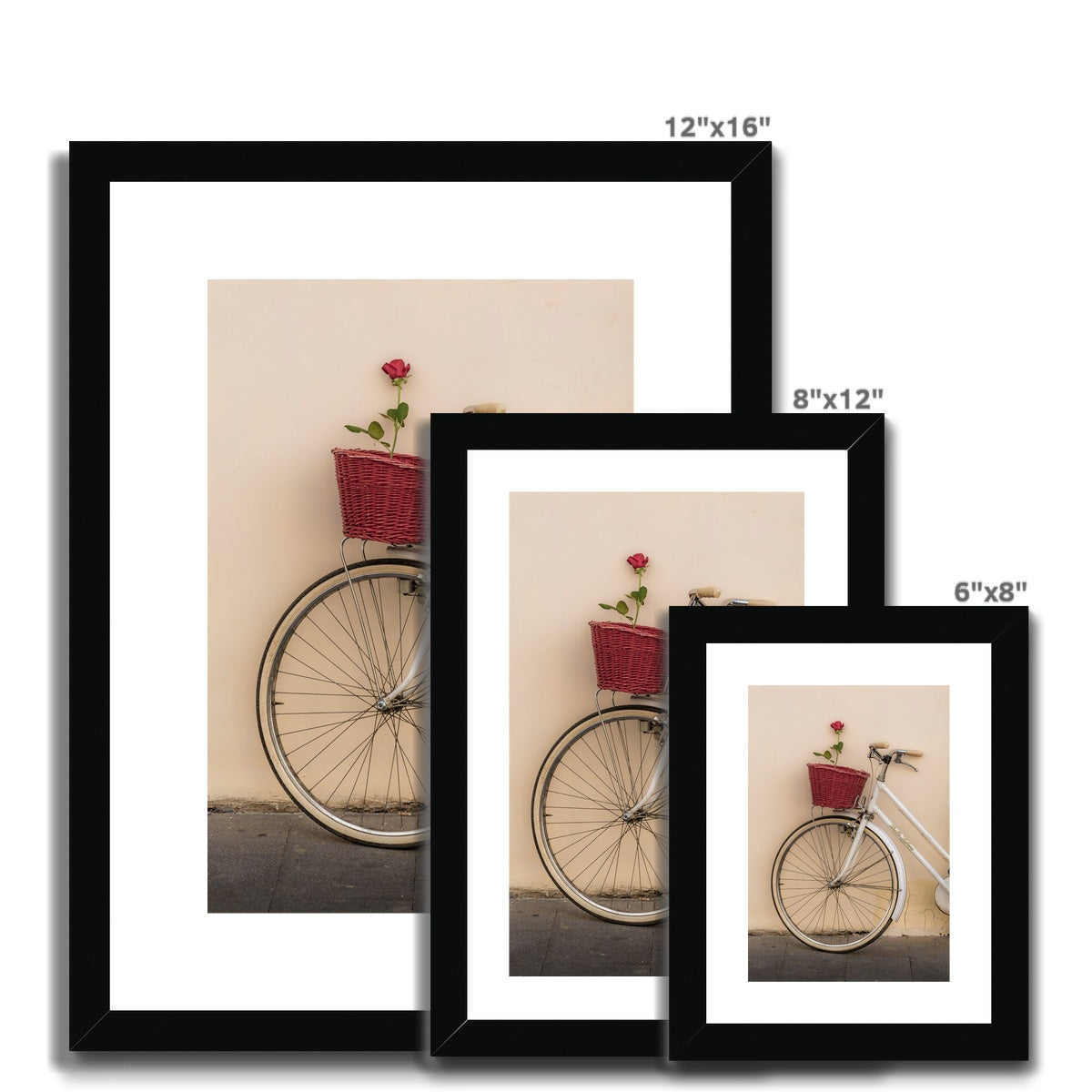 White bicycle parked against a  rendered wall with a red rose in its basket, Rome, Italy. Framed & Mounted Print