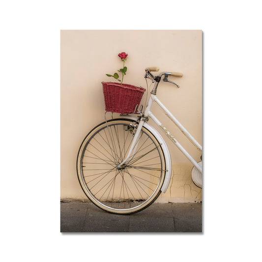 White bicycle parked against a  rendered wall with a red rose in its basket, Rome, Italy. Fine Art Print