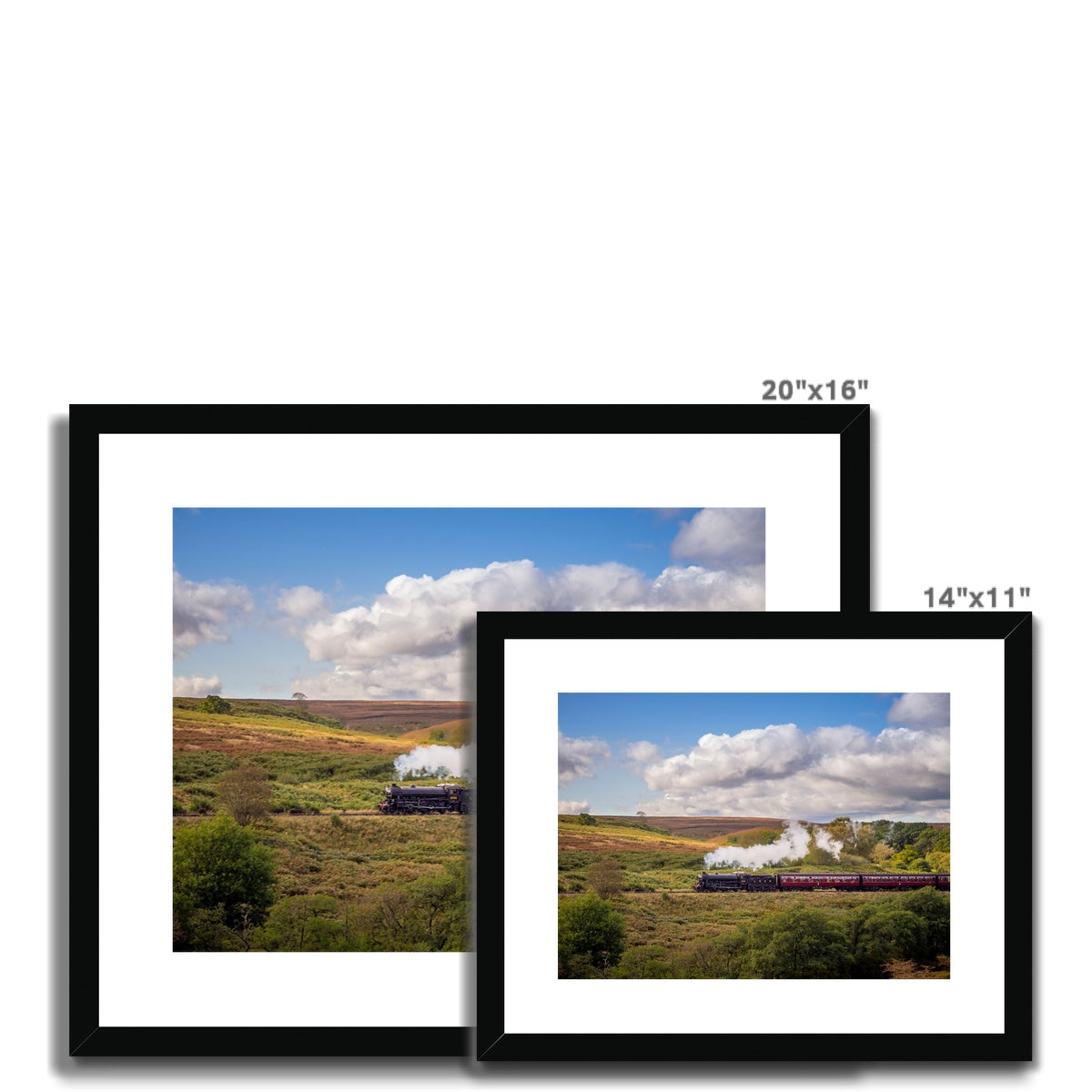 Steam Train: LNER Thompson Class B1 No. 1264  on the North Yorkshire Moors in summer. UK Framed & Mounted Print