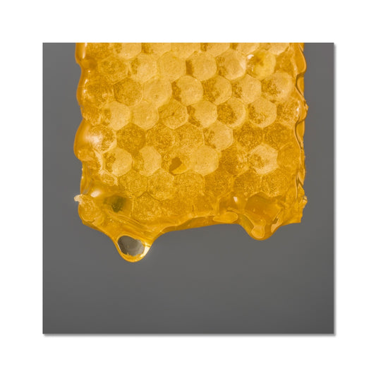 Natural honeycomb full of honey Fine Art Print