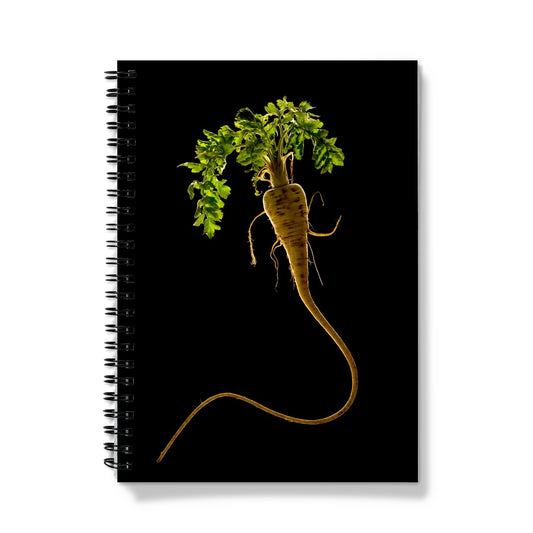 Quirky Parsnip Notebook