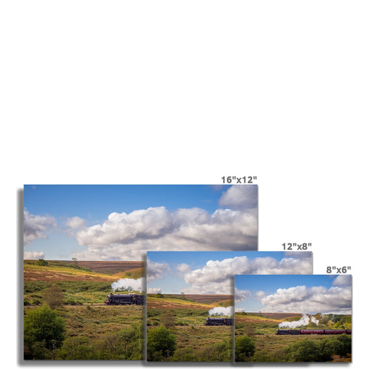 Steam Train: LNER Thompson Class B1 No. 1264  on the North Yorkshire Moors in summer. UK Fine Art Print