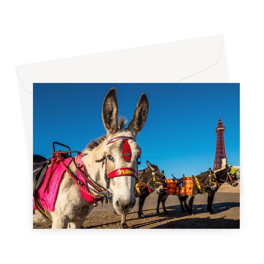 Donkeys on beach with Blackpool Tower Greeting Card