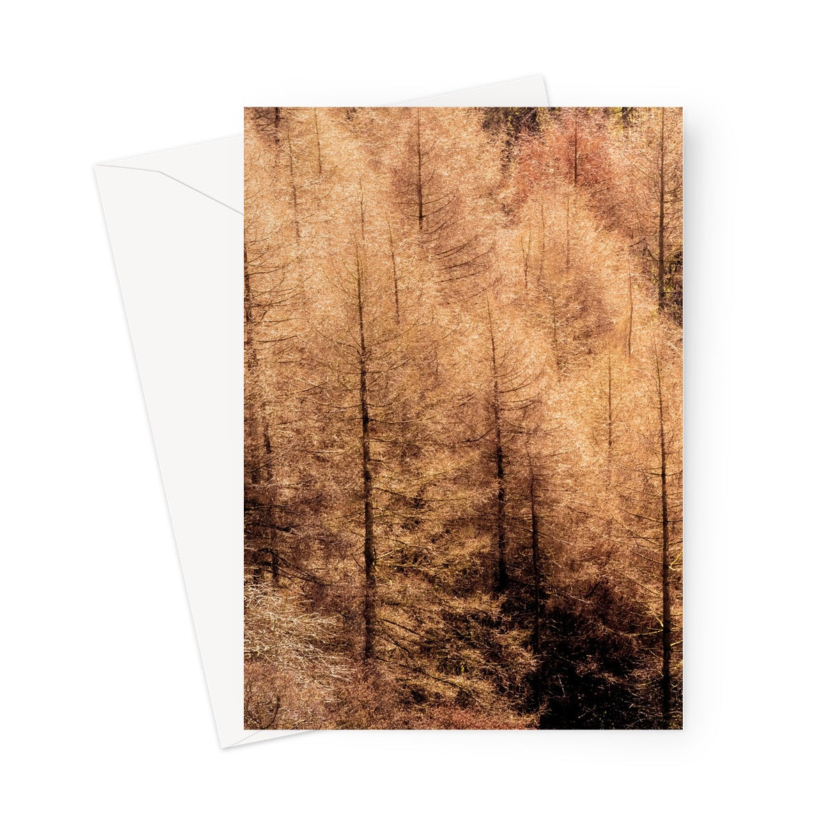 Winter trees Greeting Card