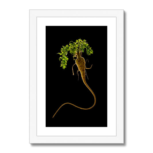 Quirky Parsnip Framed & Mounted Print