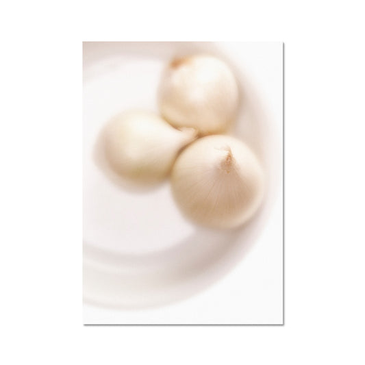 Three white onions on white plate Fine Art Print