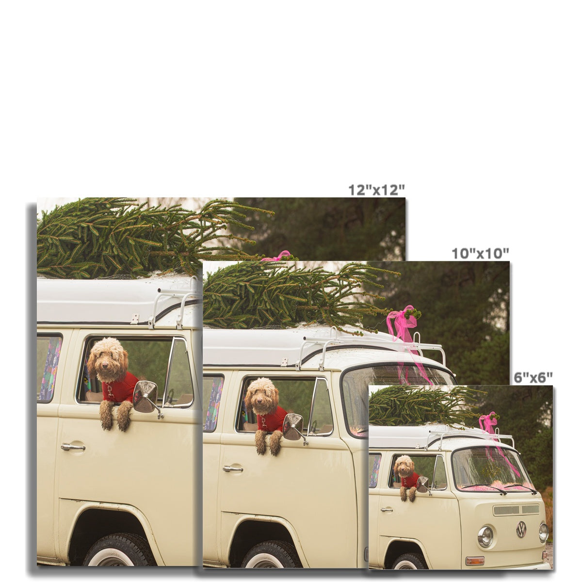 1972 VW Bay Window Campervan parked with with Christmas tree on roof and Cockapoo dog looking out of window. Fine Art Print