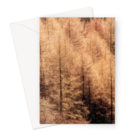 Winter trees Greeting Card