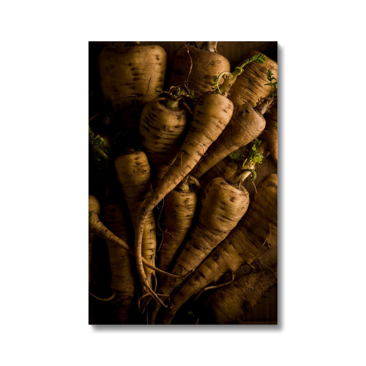 Parsnips - still life Canvas