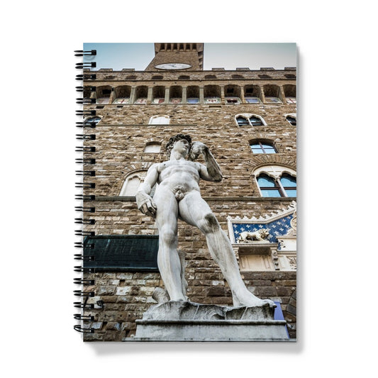 Statue of David overlooking Piazza della Signoria, with Palazzo Vecchio behind. Florence, Italy. Notebook