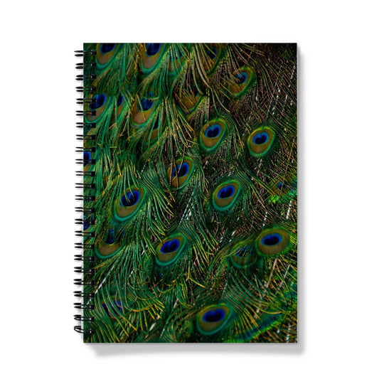Close-up of a peacock's tail feathers. Notebook