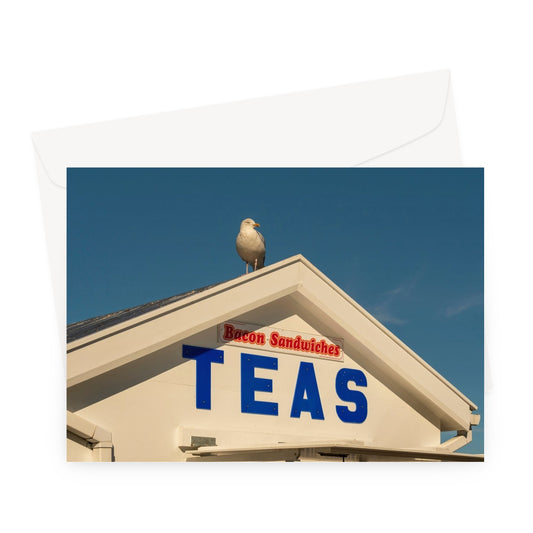 Seagull sitting on the roof of a catering kiosk selling tea and bacon sandwiches, Whitby, UK. Greeting Card