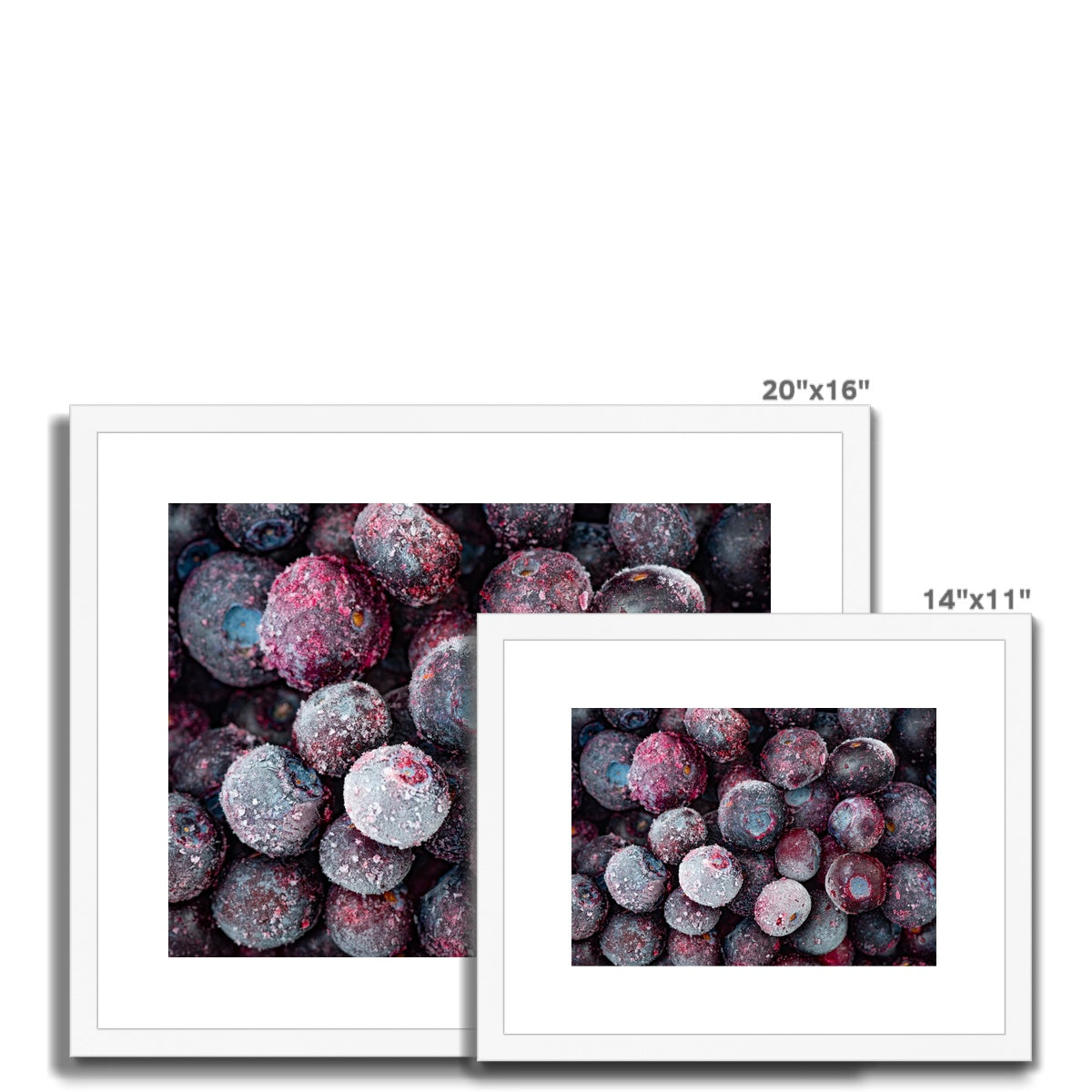 Close up of frozen blueberries Framed & Mounted Print