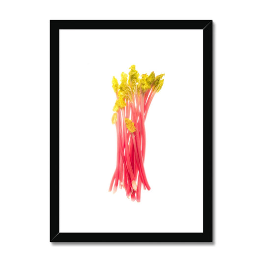 Early forced rhubarb Framed & Mounted Print