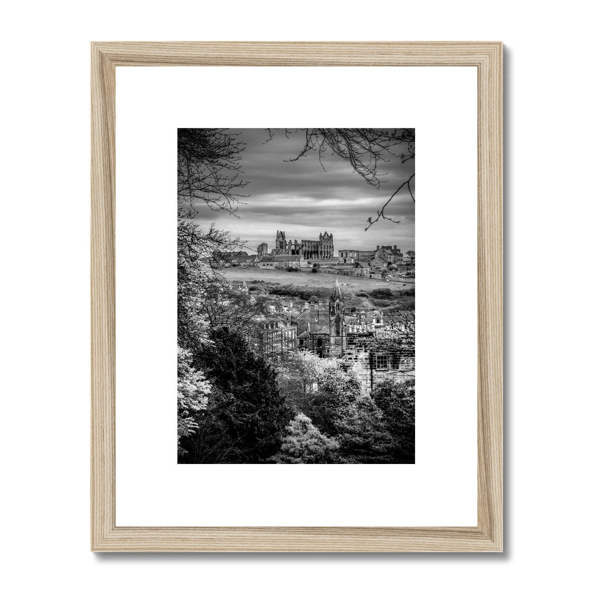 Whitby Abbey viewed from Pannett Gardens, Whitby, UK. Framed & Mounted Print