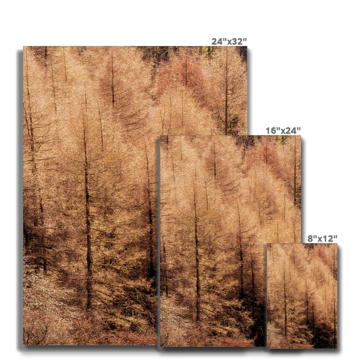 Winter trees Canvas