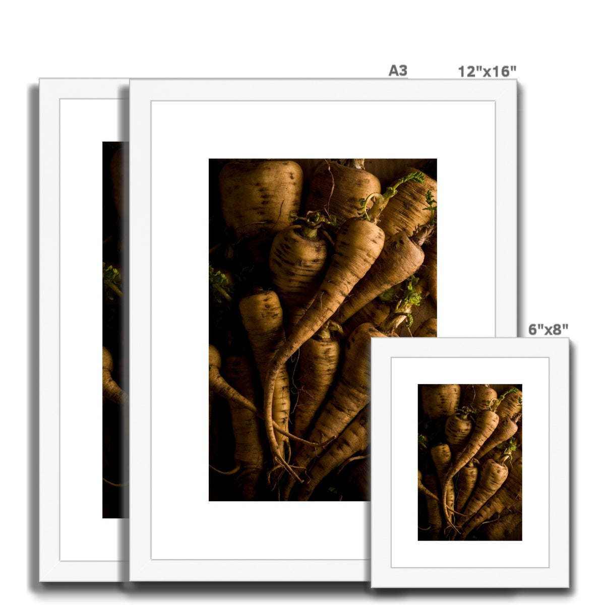 Parsnips - still life Framed & Mounted Print