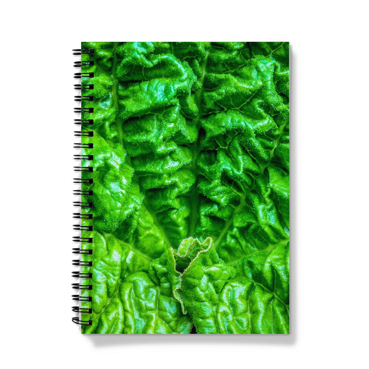 Close-up of the textured surface of a vivid green young rhubarb leaf Notebook