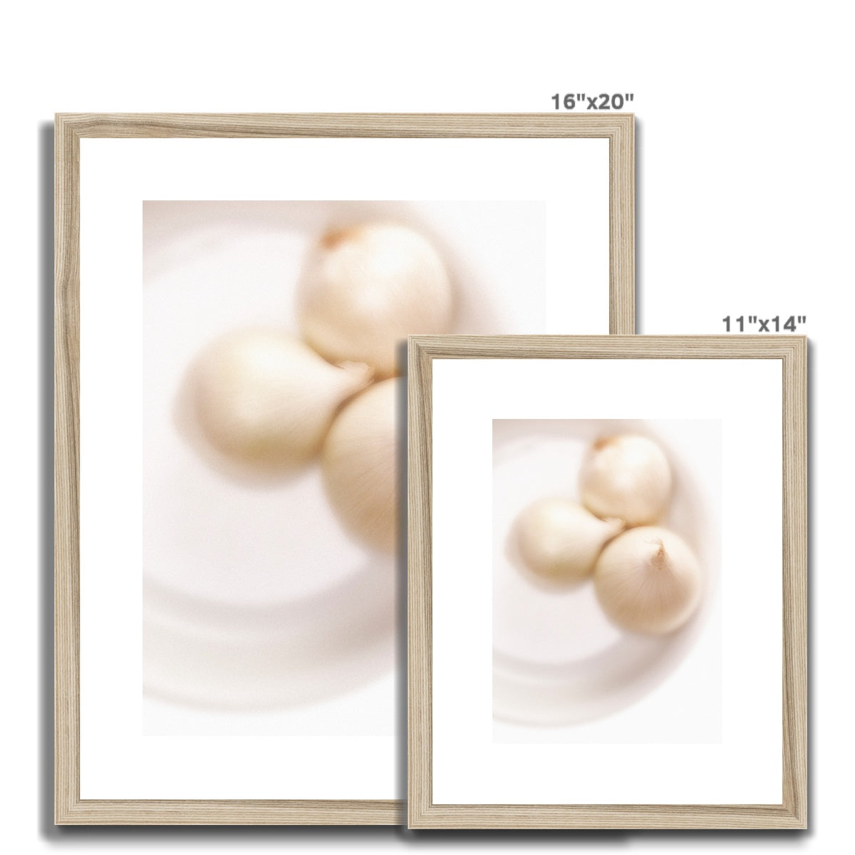 Three white onions on white plate Framed & Mounted Print