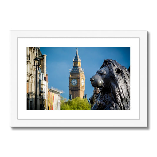 Lion statue in Trafalgar Square, with Big ben in background, London. Framed & Mounted Print