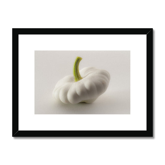 White pattypan squash on a white background Framed & Mounted Print