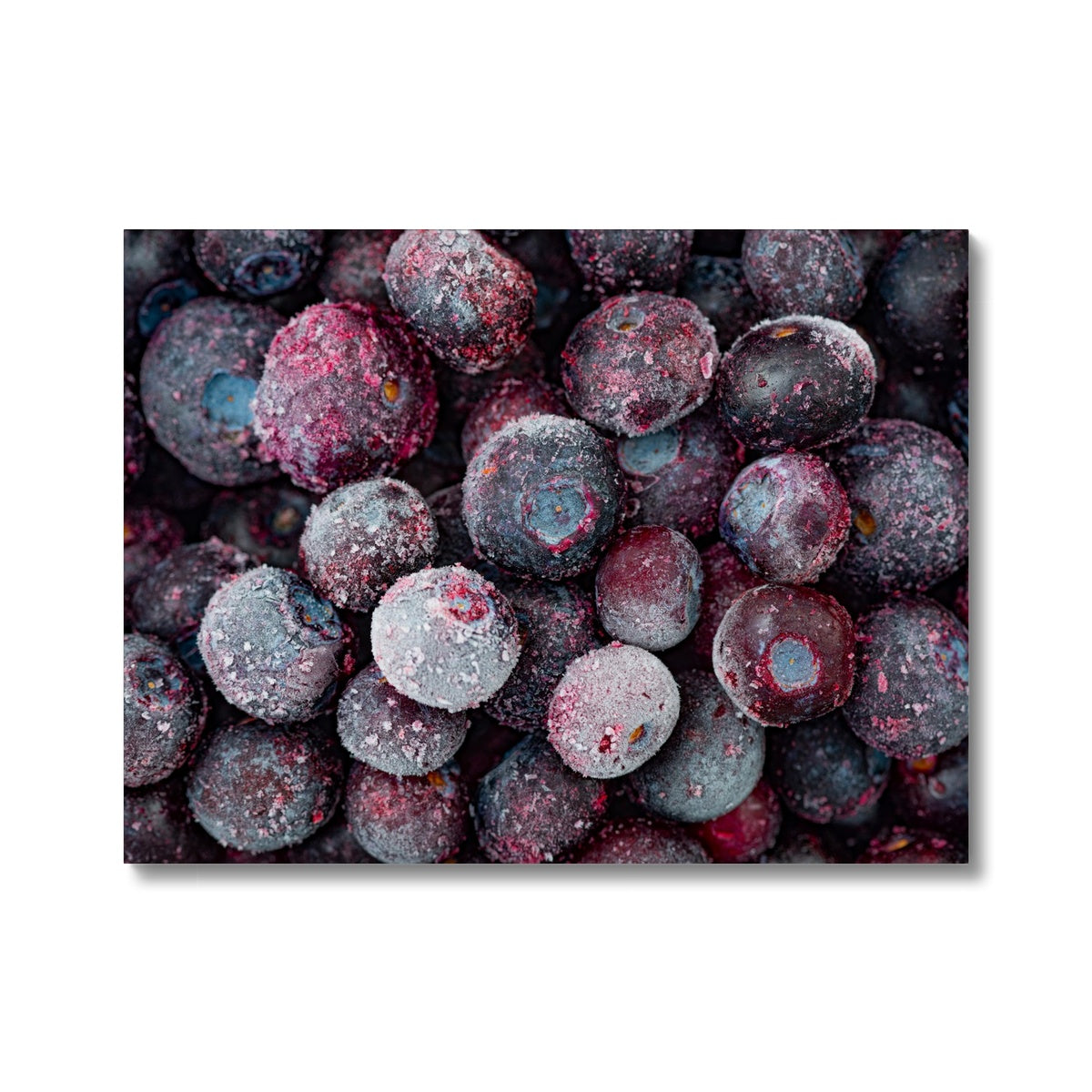 Close up of frozen blueberries Canvas