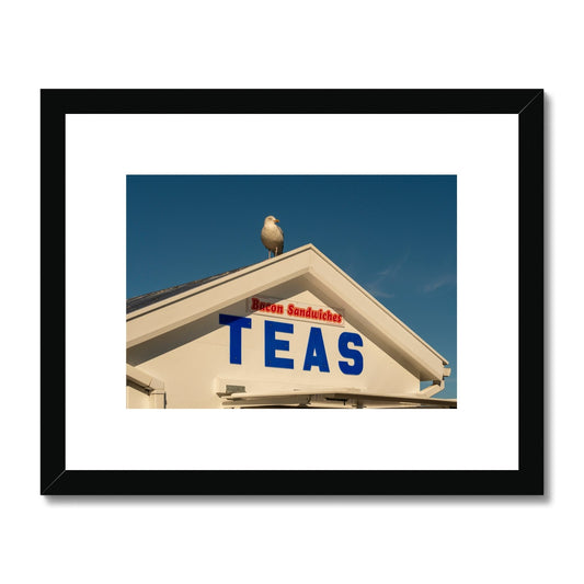 Seagull sitting on the roof of a catering kiosk selling tea and bacon sandwiches, Whitby, UK. Framed & Mounted Print