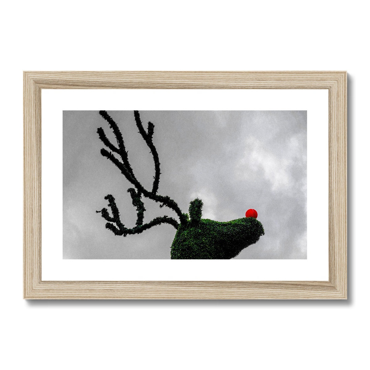 Topiary Christmas reindeer with red nose, Covent Garden, London, UK. Framed & Mounted Print