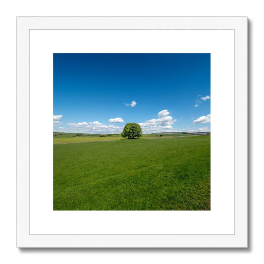 Single Tree, Yorkshire Dales Landscape Framed & Mounted Print