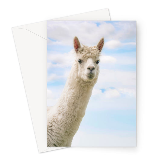 Inquisitive Alpaca Greeting Card