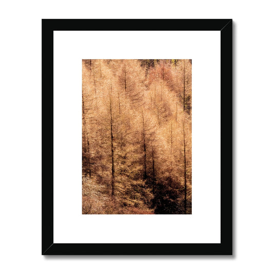 Winter trees Framed & Mounted Print